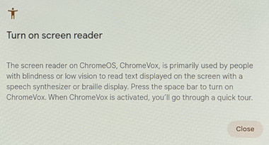 Chrome OS Flex 116 001
