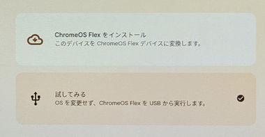 Chrome OS Flex 116 005