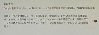 Chrome OS Flex 116 014