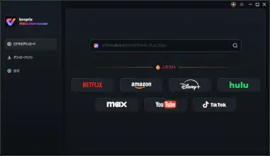Keeprix Vido Downloader 008