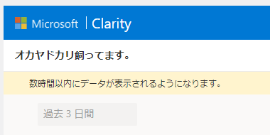 Microsoft Clarity 012