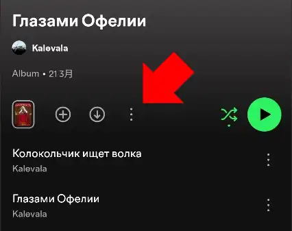 TuneFab Spotify 020