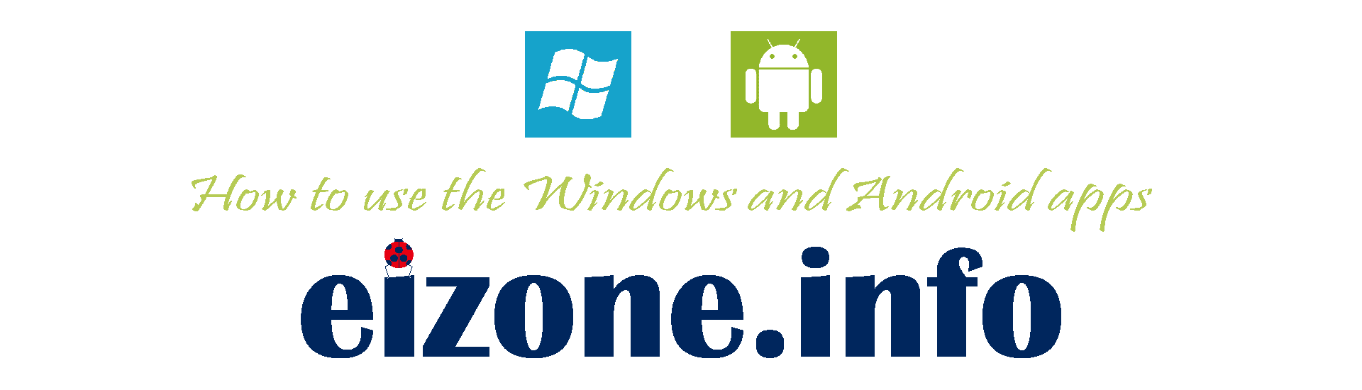 eizone.info 2024 logo