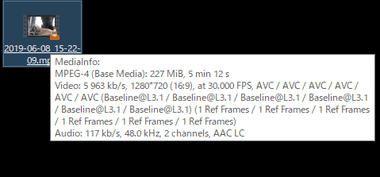 mediainfo042