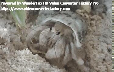 wonderfox-hdvideo-converterfactory-01